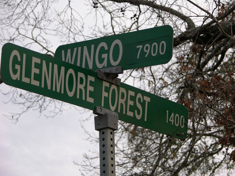 Glenmore Forest park 8000 Wingo Houston, Texas 77055 (36)